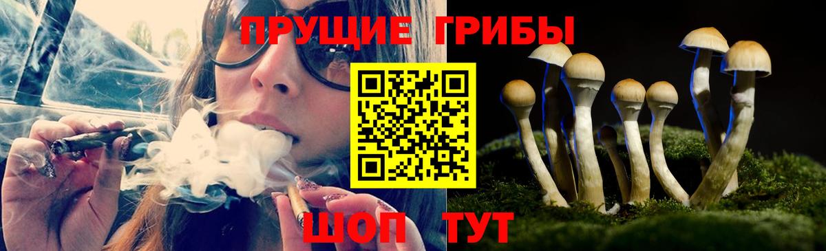 Истра  Галлюциногенные грибы мицелий  Галлюциногенные грибы MAGIC MUSHROOMS  Вход с VPN 